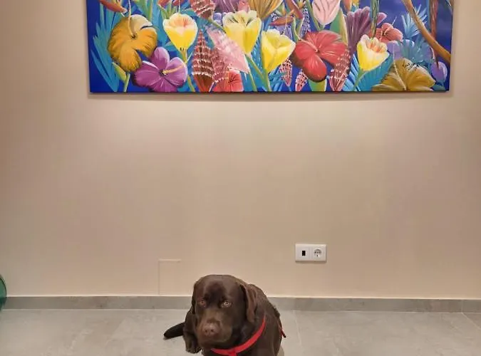 Dom wakacyjny Casa Do Alambique Alvaredo